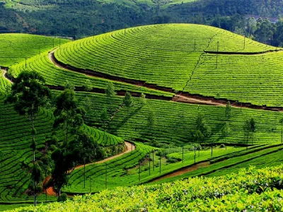 Incredible Kerala Tour Package